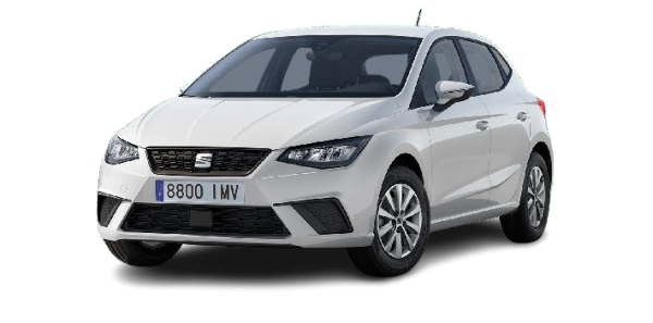 SEAT IBIZA style